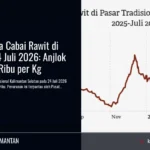 Cabai Rawit di Pasar Tradisional Kalimantan Selatan Sentuh Rp45,4 Ribu per 24 Juli