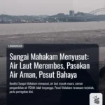 Sungai Mahakam Menyusut: Air Laut Merembes, Pasokan Air Aman, Pesut Bahaya