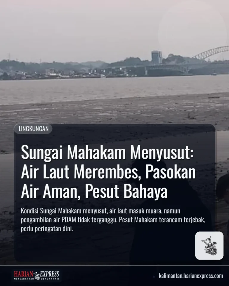 Sungai Mahakam Menyusut: Air Laut Merembes, Pasokan Air Aman, Pesut Bahaya