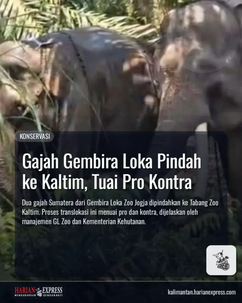 Gajah Gembira Loka Pindah ke Kaltim, Tuai Pro Kontra