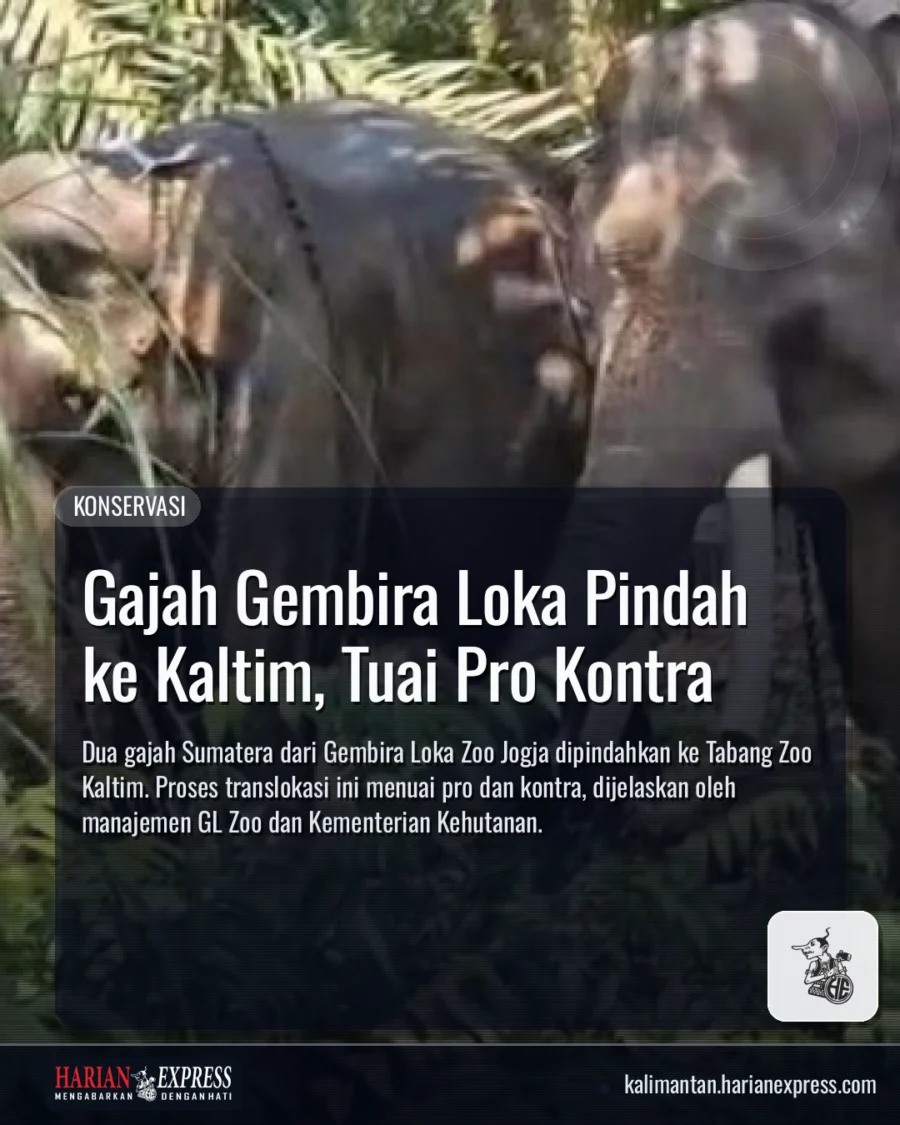 Gajah Gembira Loka Pindah ke Kaltim, Tuai Pro Kontra Gajah Gembira Loka Pindah ke Kaltim, Tuai Pro Kontra