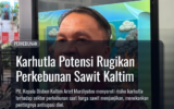 Karhutla Potensi Rugikan Perkebunan Sawit Kaltim