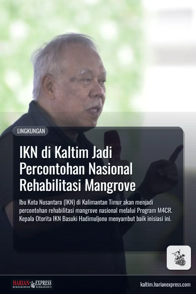 Otorita IKN Siapkan 1.100 Hektare Mangrove di Kaltim
