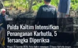 kasus-karhutla-polda-kaltim-2026
