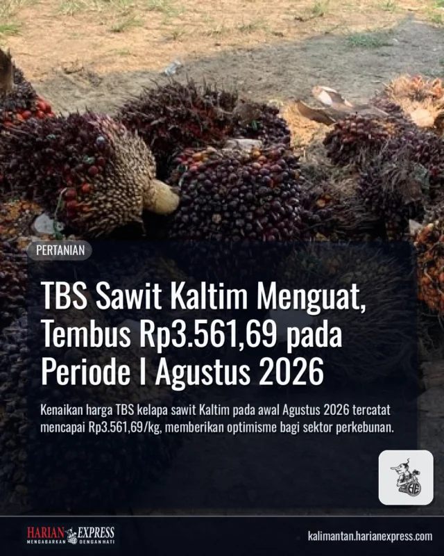 TBS Sawit Kaltim Menguat, Tembus Rp3.561,69 pada Periode I Agustus 2026