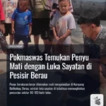 Pokmaswas Temukan Penyu Mati dengan Luka Sayatan di Pesisir Berau