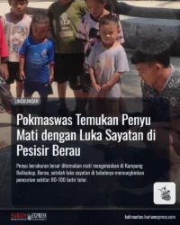 Gambar tambahan: pencurian telur penyu berau instagram gradient