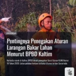 Pentingnya Penegakan Aturan Larangan Bakar Lahan Menurut BPBD Kaltim