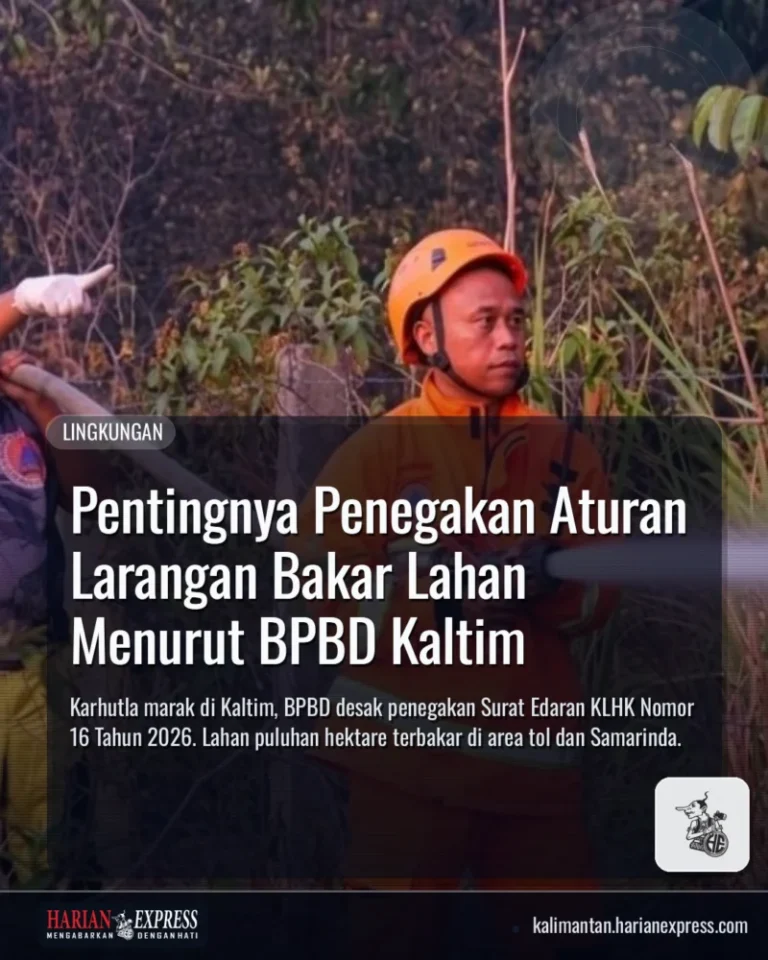 Pentingnya Penegakan Aturan Larangan Bakar Lahan Menurut BPBD Kaltim