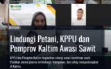 Lindungi Petani, KPPU dan Pemprov Kaltim Awasi Sawit
