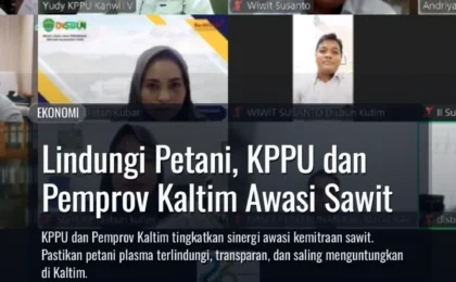 Lindungi Petani, KPPU dan Pemprov Kaltim Awasi Sawit