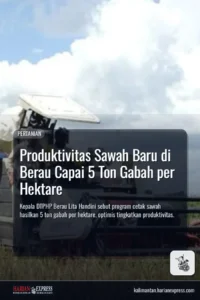 produktivitas-sawah-berau
