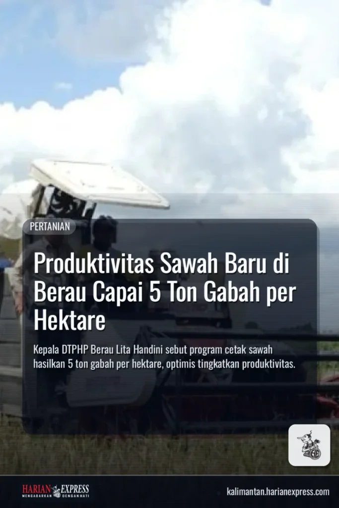 Produktivitas Sawah Baru di Berau Capai 5 Ton Gabah per Hektare