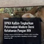 DPKH Kaltim Tingkatkan Peternakan Modern Demi Ketahanan Pangan IKN