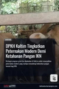 transformasi-peternakan-kaltim-untuk-ikn