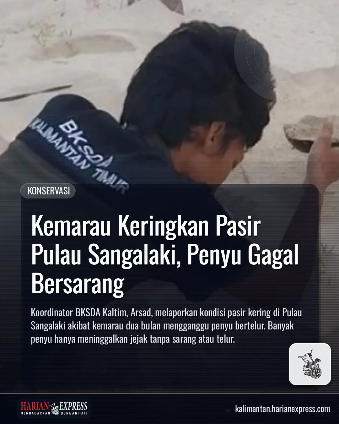 Kemarau Keringkan Pasir Pulau Sangalaki, Penyu Gagal Bersarang
