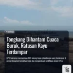 Tongkang Dihantam Cuaca Buruk, Ratusan Kayu Terdampar