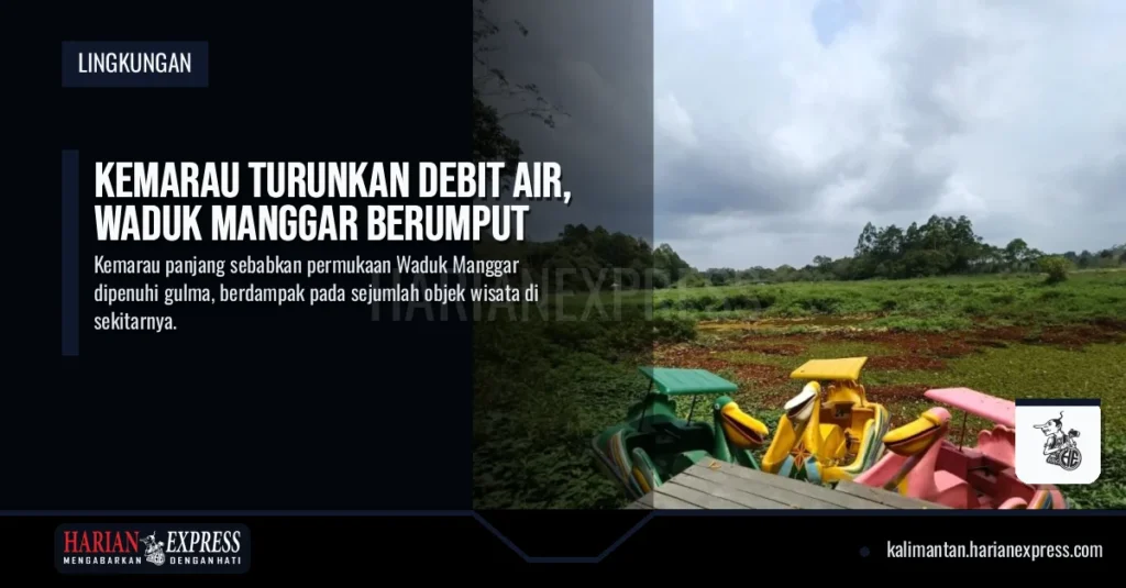 Kemarau Turunkan Debit Air, Waduk Manggar Berumput