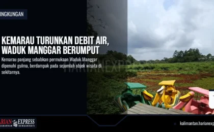 Kemarau Turunkan Debit Air, Waduk Manggar Berumput Kemarau Turunkan Debit Air, Waduk Manggar Berumput
