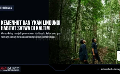 Kemenhut dan YKAN Lindungi Habitat Satwa di Kaltim