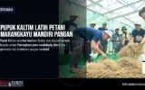 Pupuk Kaltim Latih Petani Marangkayu Mandiri Pangan