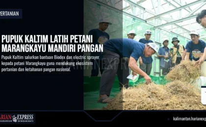 Pupuk Kaltim Latih Petani Marangkayu Mandiri Pangan